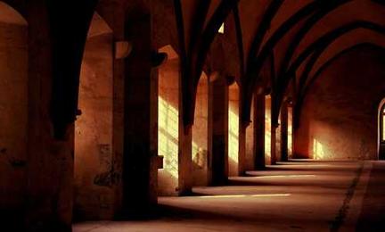 Lorem ipsum dolor a sit.