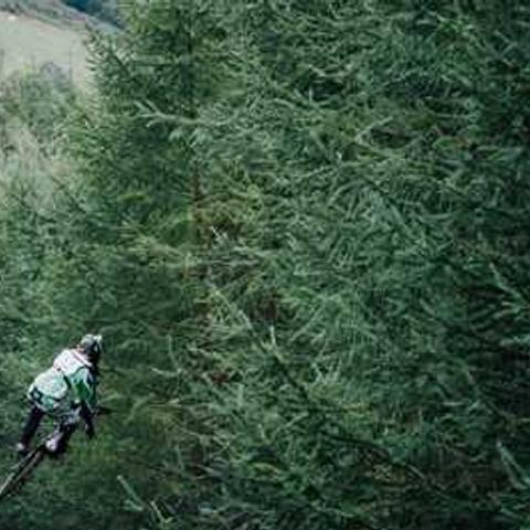 Lorem ipsum dolor sit amet