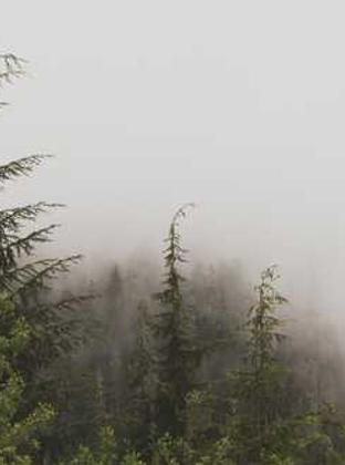 Lorem ipsum dolor sit amet